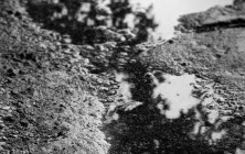 09