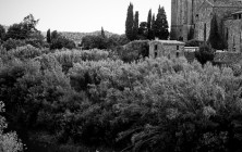 cathare-02