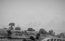 cathare-07