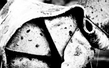 passe_le_mur-27 passe_le_mur-27