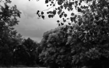 sur le vif-53