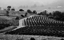 vignette_en_chemin vignette_en_chemin