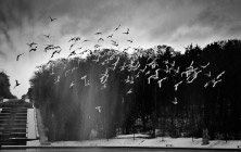 vignette_instants
