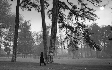 vignette_sur_le_vif vignette_sur_le_vif