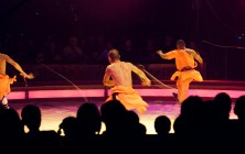cirque-11