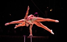 cirque-37