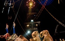 cirque-39