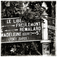 03-Madeleine-2